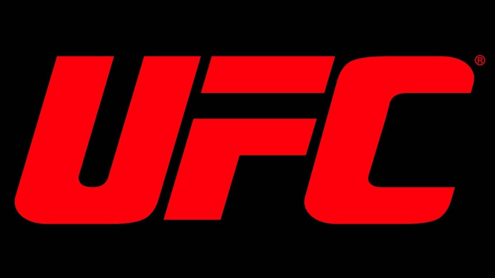 2025 UFC 싸움 일정