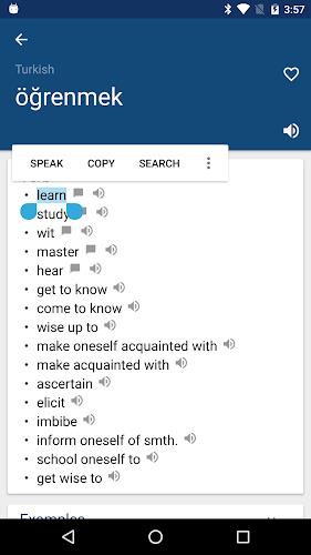 Turkish English Dictionary İng 스크린샷 0