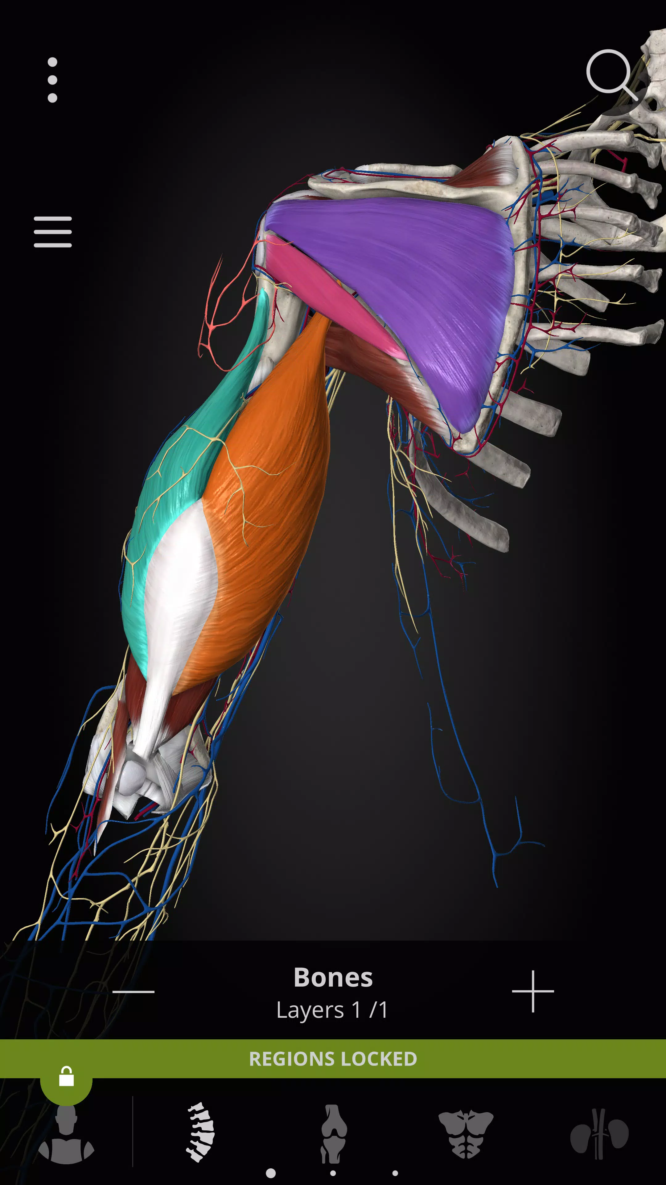 Anatomyka - 3D Anatomy Atlas ဖန်သားပြင်ဓာတ်ပုံ 3