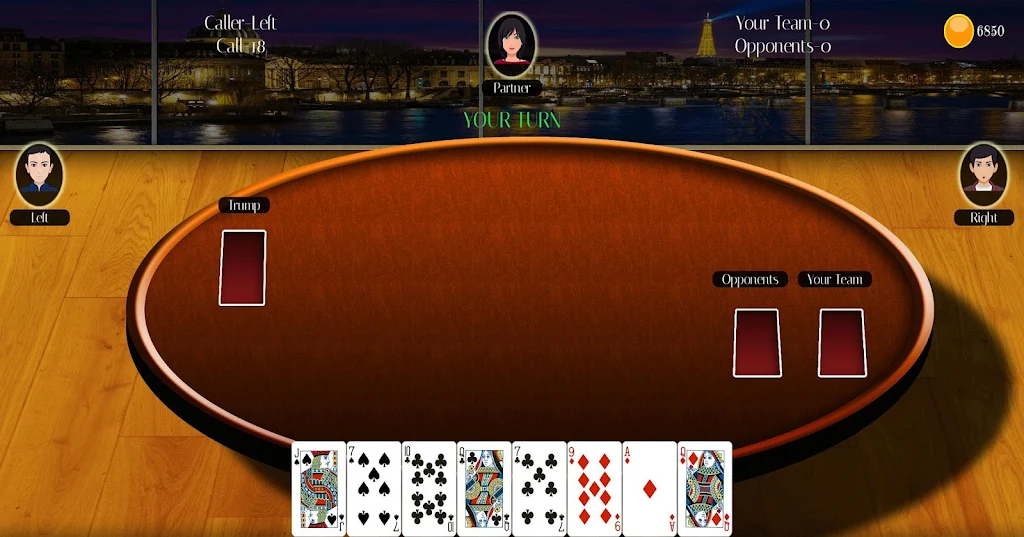 29 Card Game Lite Ekran Görüntüsü 2