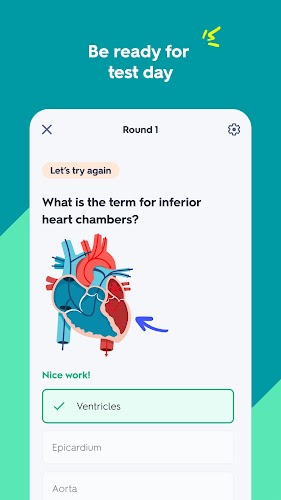 Quizlet: AI-powered Flashcards Schermafbeelding 2