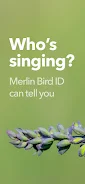 Merlin Bird ID por Cornell Lab Captura de tela 3