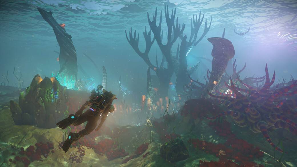 Profundezas misteriosas