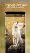 Dog Wallpapers & Puppy 4K Ekran Görüntüsü 3