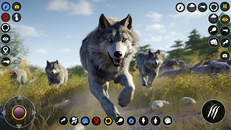 Wolf Simulator: Wild Wolf Game Capture d'écran 2