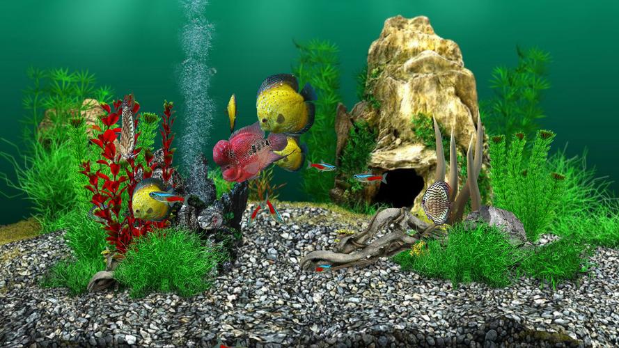 AquaLife 3D Ekran Görüntüsü 3